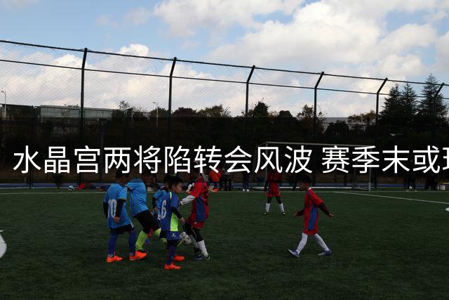 水晶宫两将陷转会风波 赛季末或现重大变动