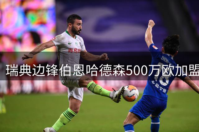 瑞典边锋伯恩哈德森500万欧加盟狼堡